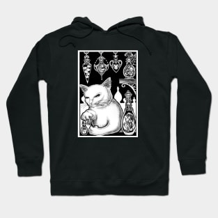 The Demon Collector - Cat Hoodie